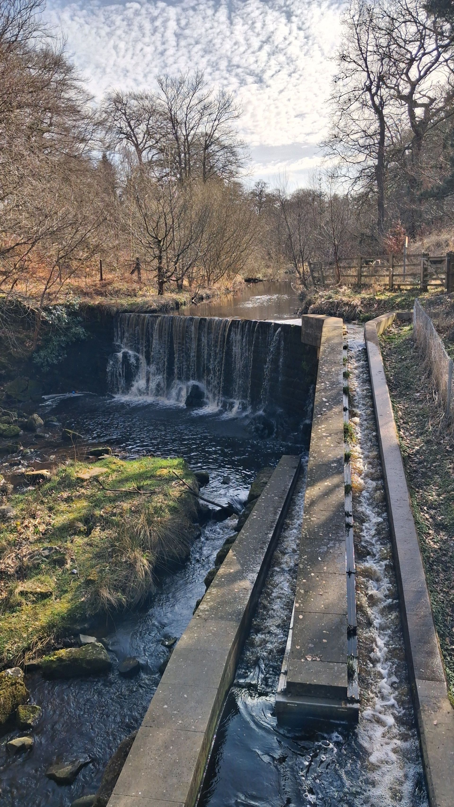 Limefield Falls & Fish Pass